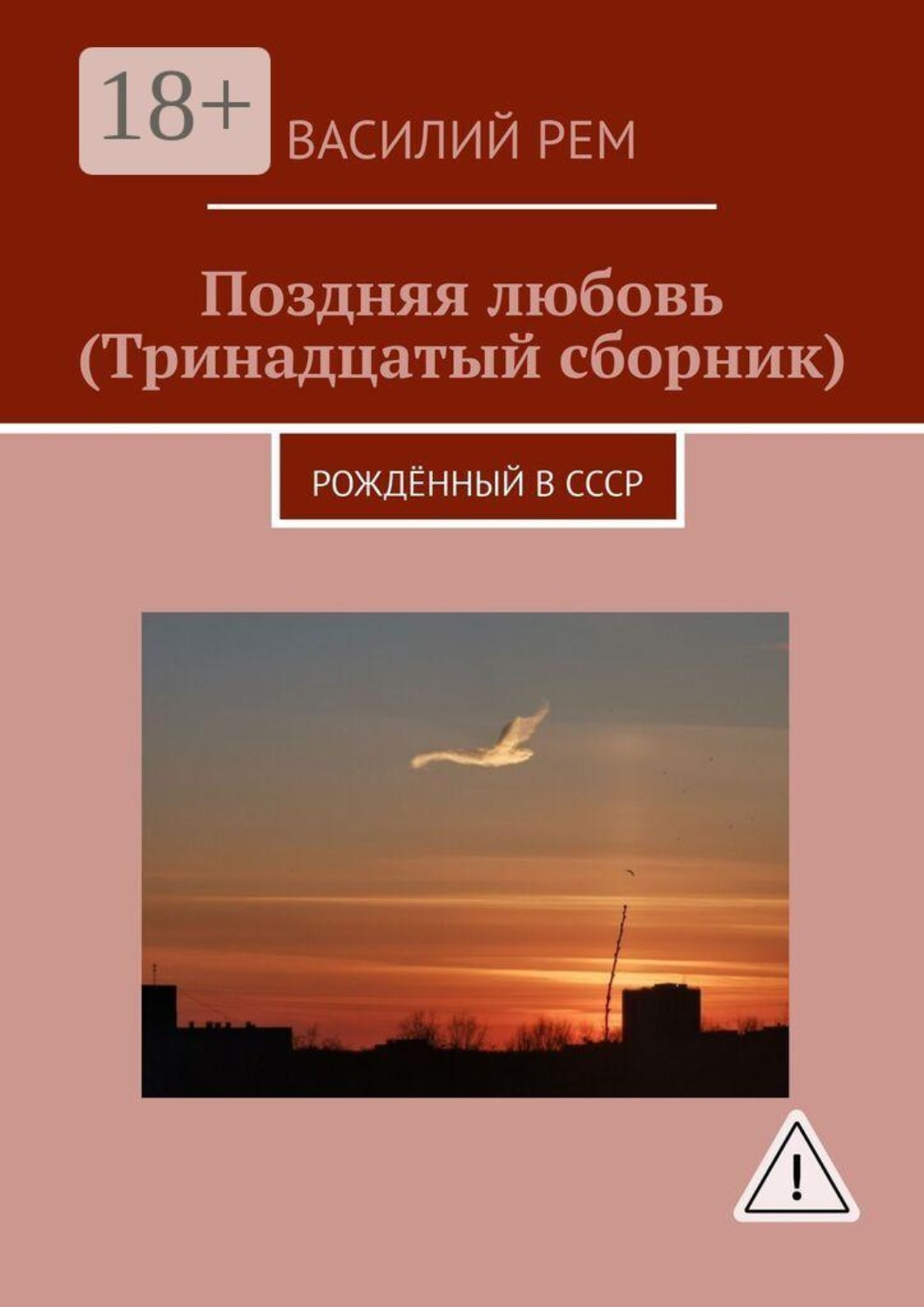 Обложка книги «Поздняя любовь (Тринадцатый сборник). Рождённый в СССР»