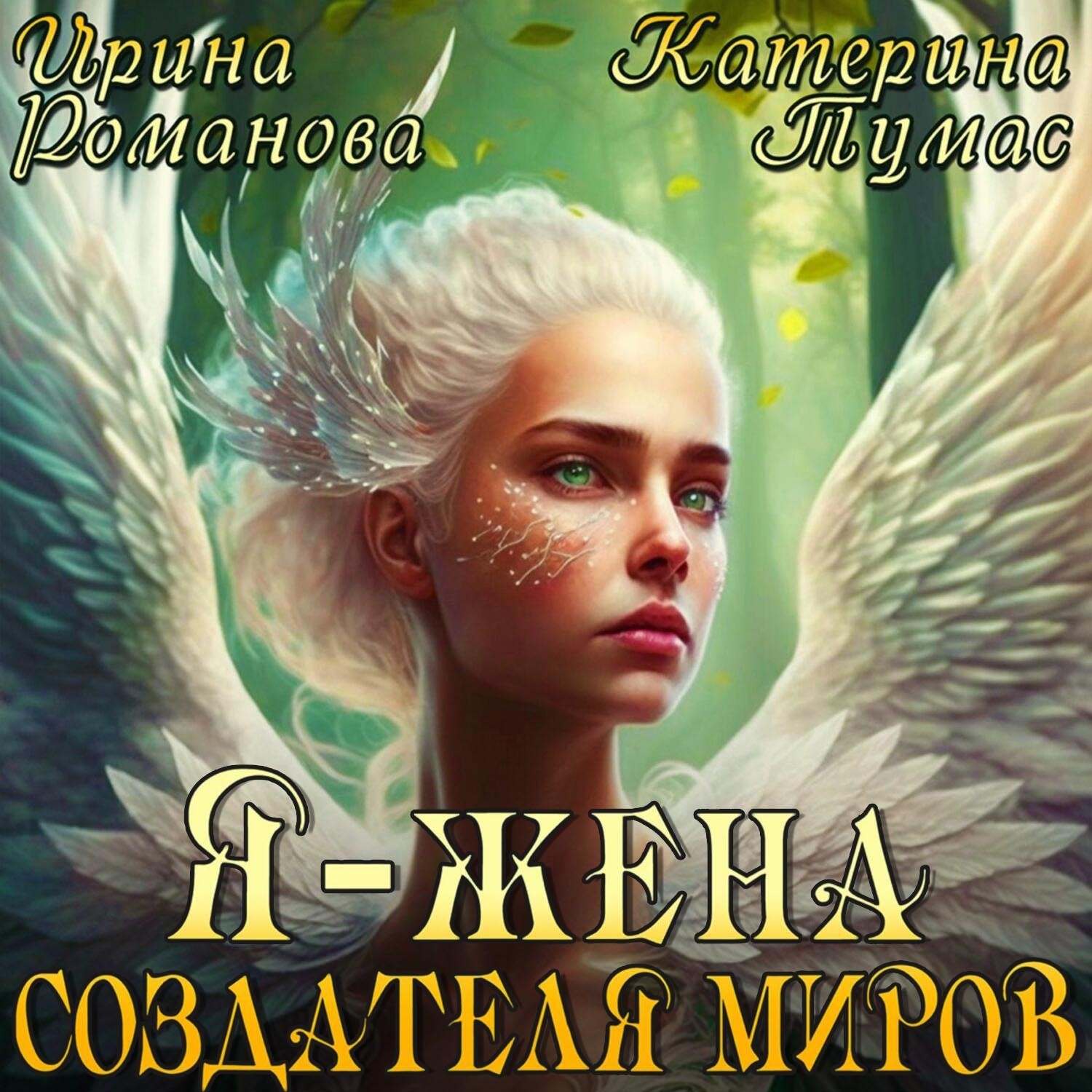 Обложка книги «Я – жена создателя миров»