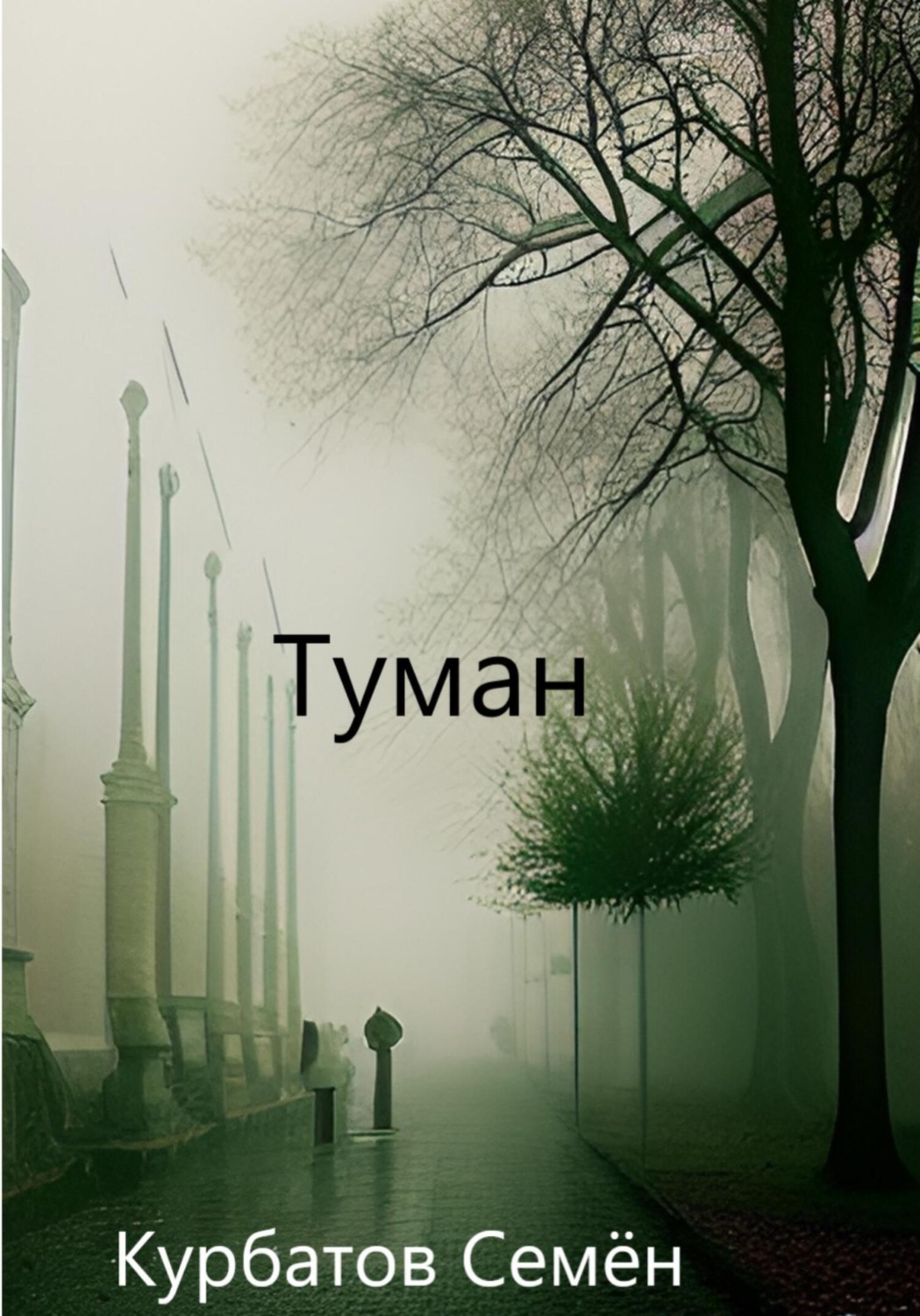 Обложка книги «Туман»