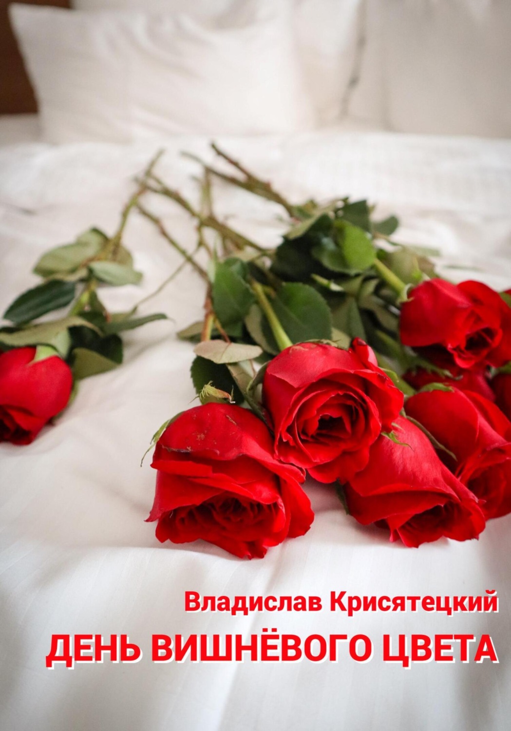 Обложка книги «День вишневого цвета»