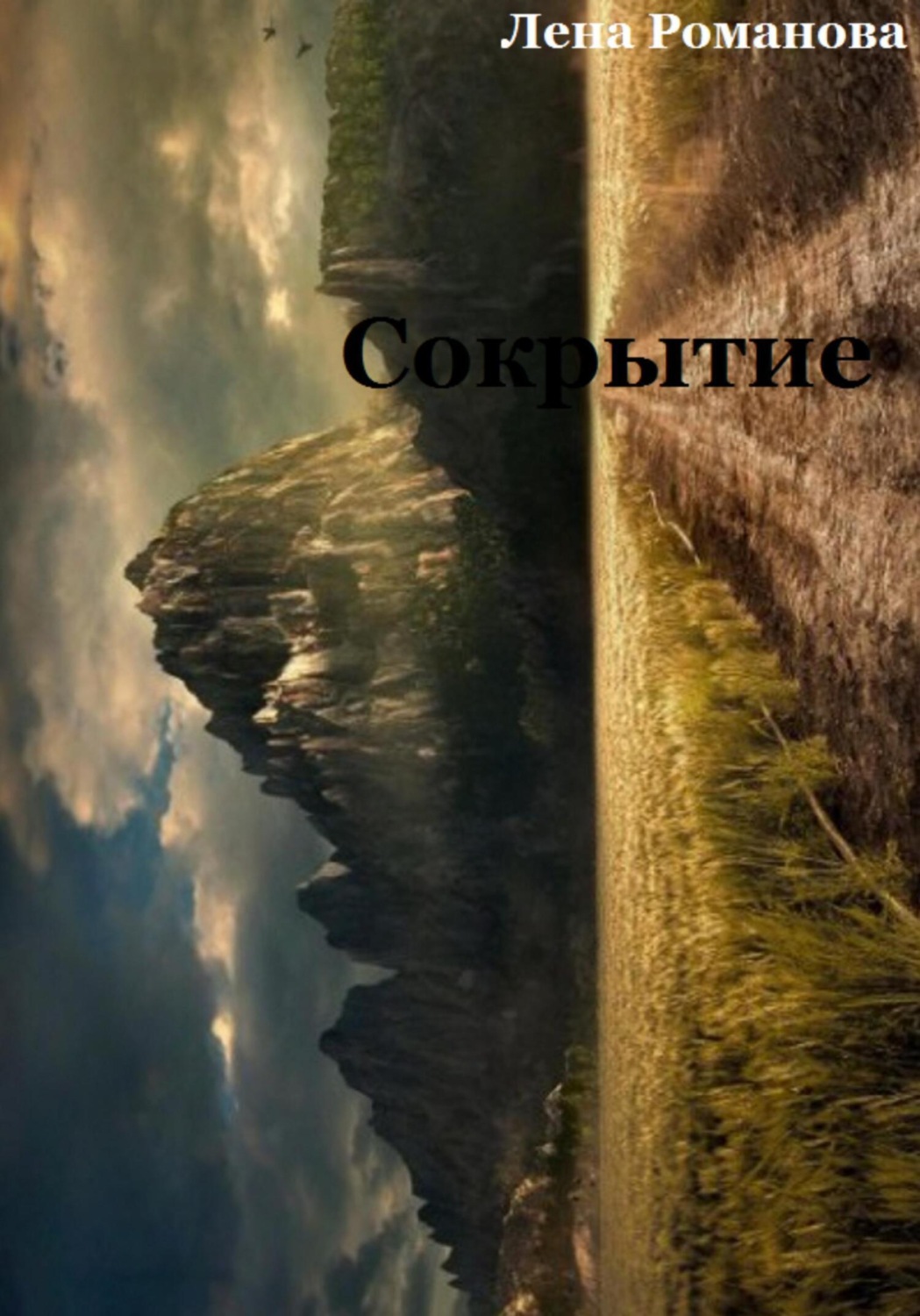 Обложка книги «Сокрытие»