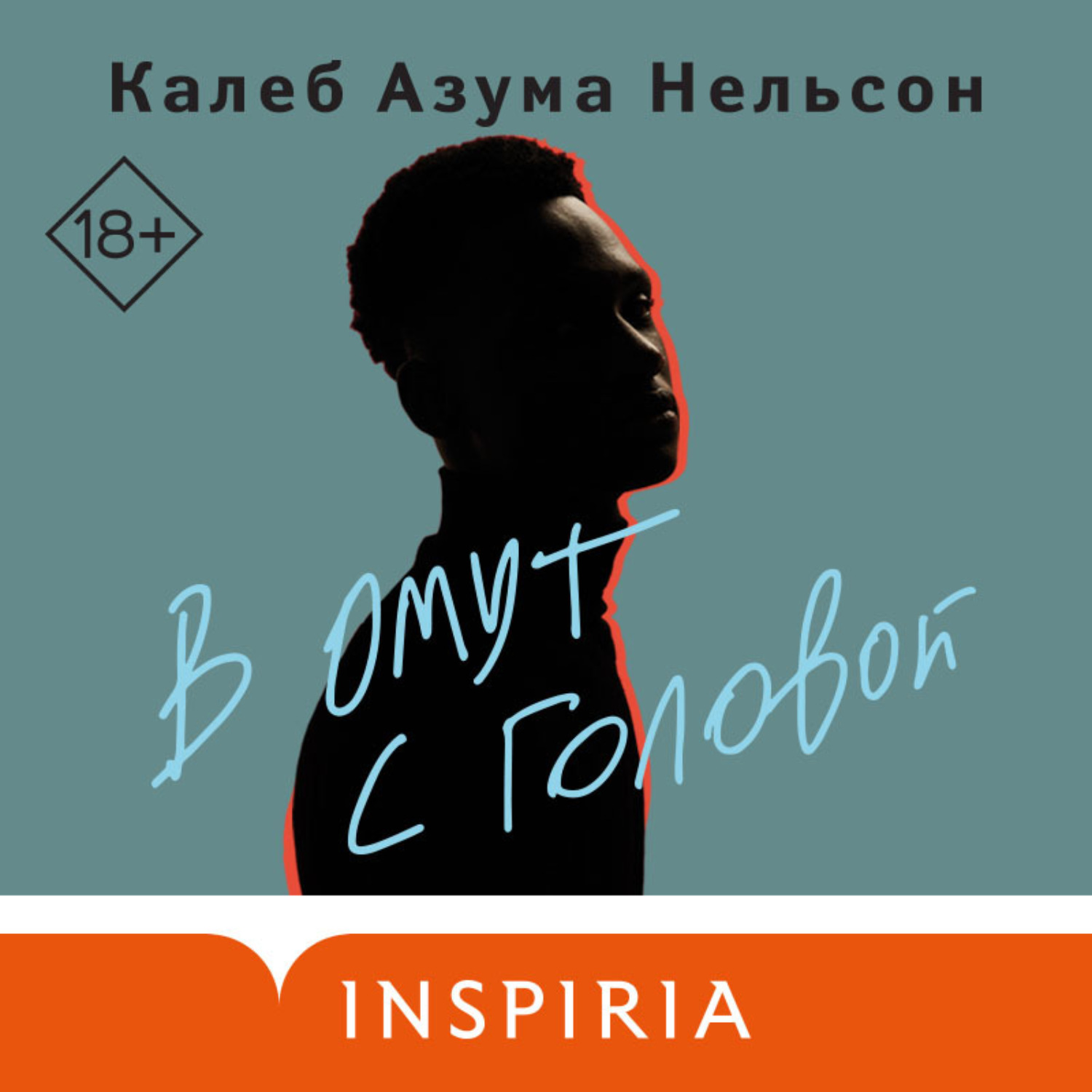 Обложка книги «В омут с головой»