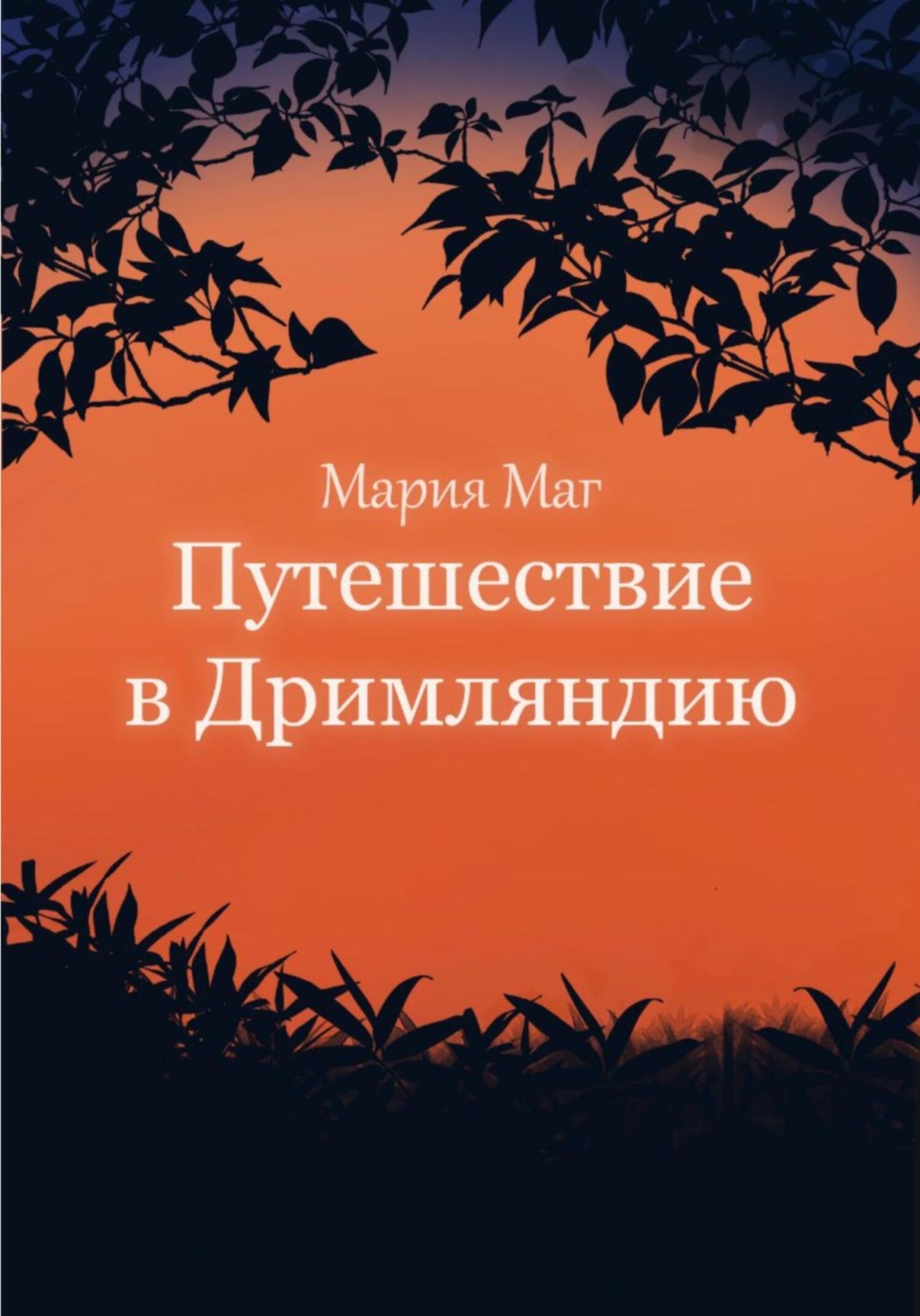 Обложка книги «Путешествие в Дримляндию»