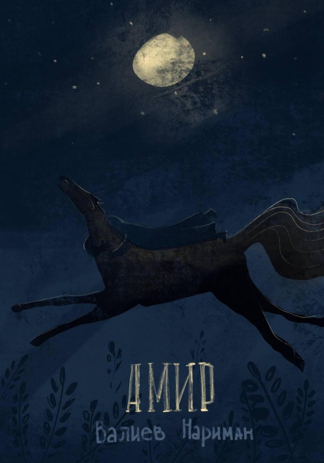 Обложка книги «Амир»