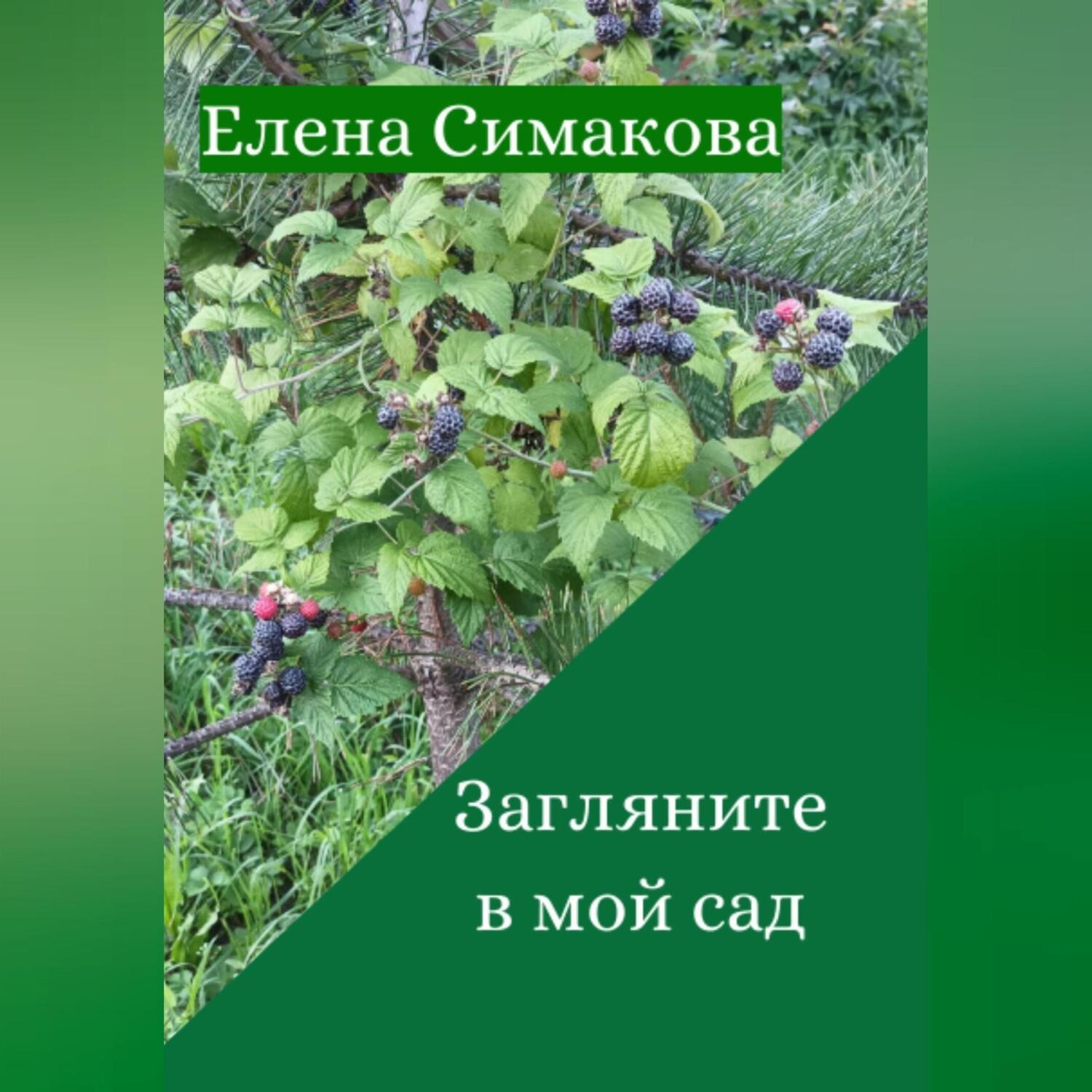Обложка книги «Загляните в мой сад»