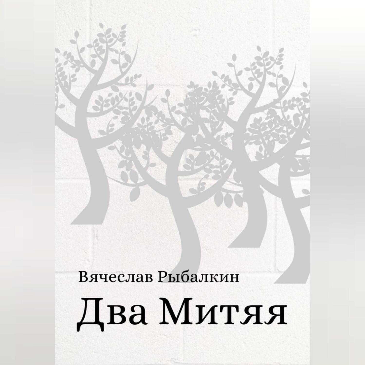 Обложка книги «Два Митяя»