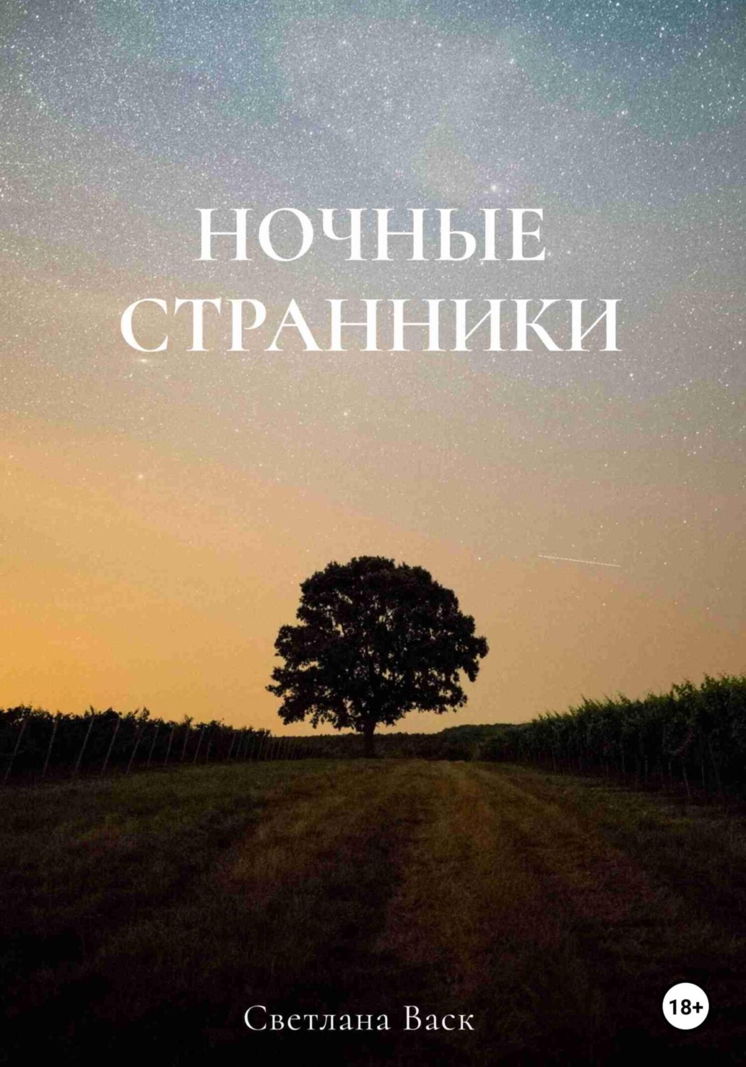 Обложка книги «Ночные странники»