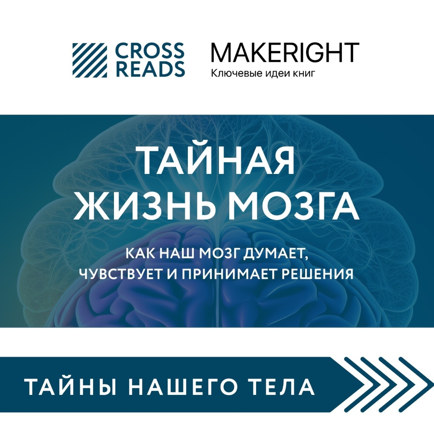Обложка книги «Саммари книги «Тайная жизнь мозга. Как наш мозг думает, чувствует и принимает решения»»