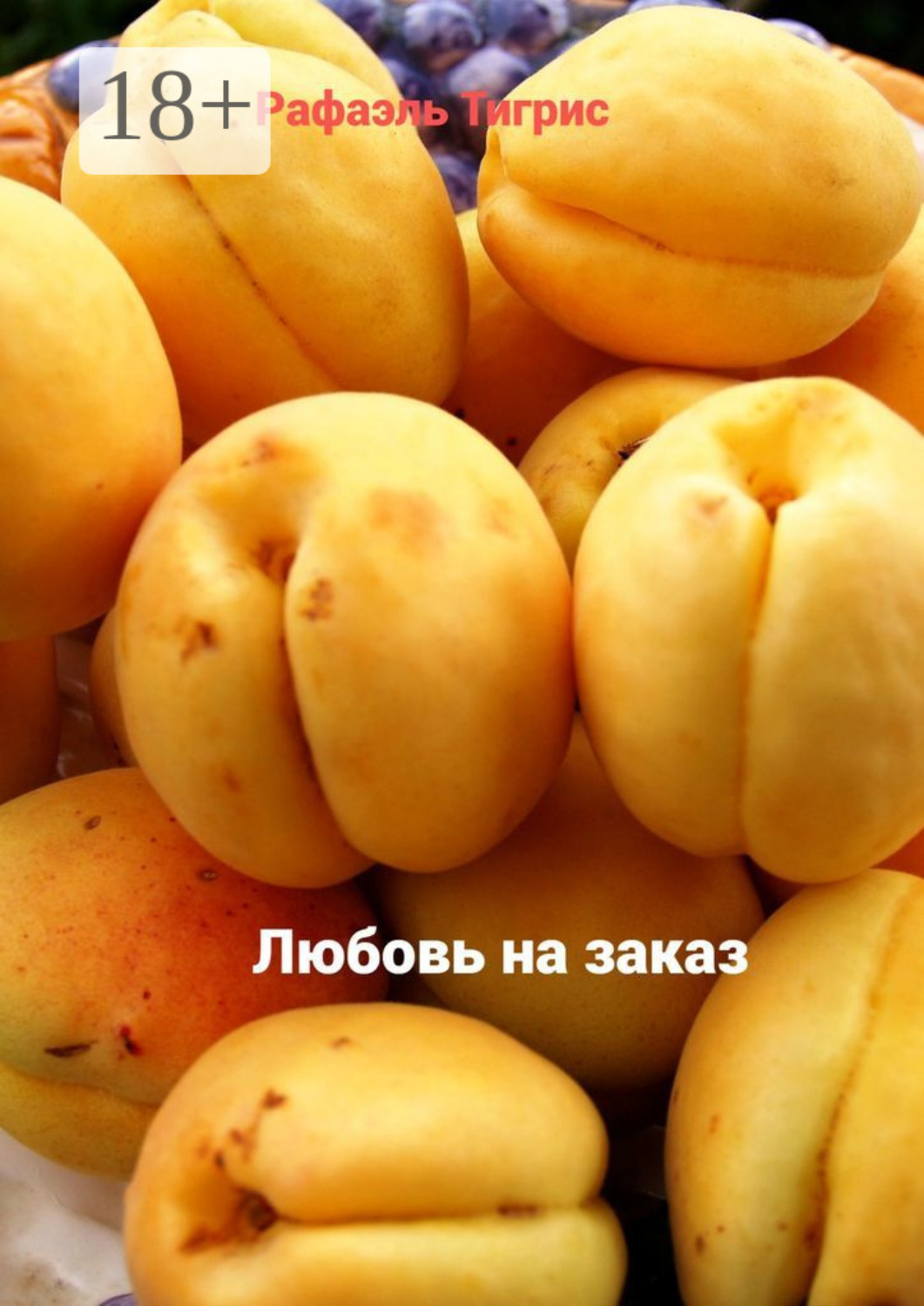 Обложка книги «Любовь на заказ»