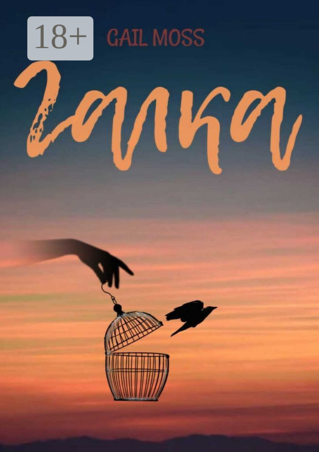 Обложка книги «Галка»