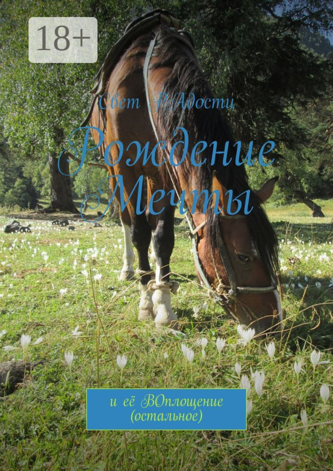 Обложка книги «Рождение мечты. И её воплощение (остальное)»