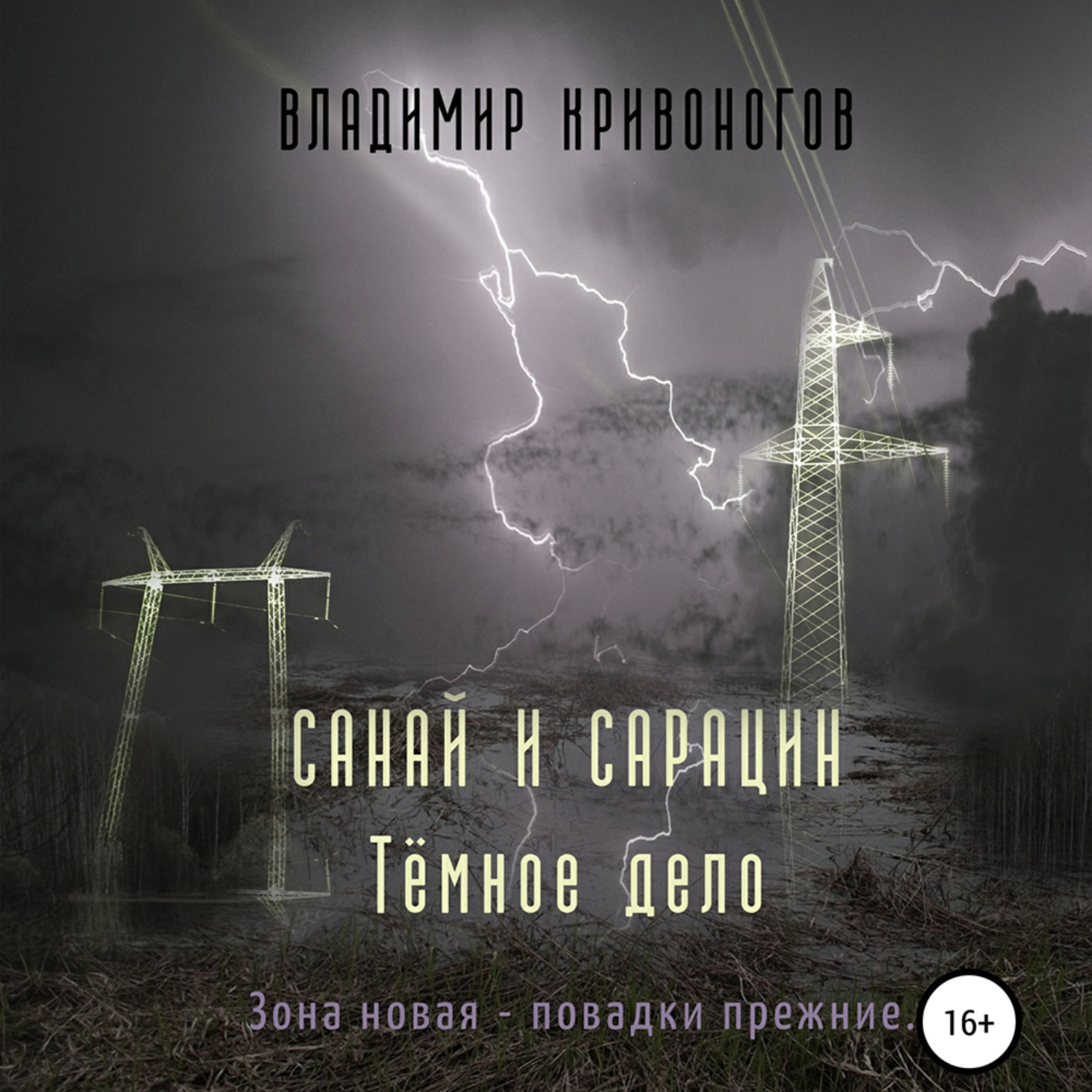 Обложка книги «Санай и Сарацин. Темное дело»