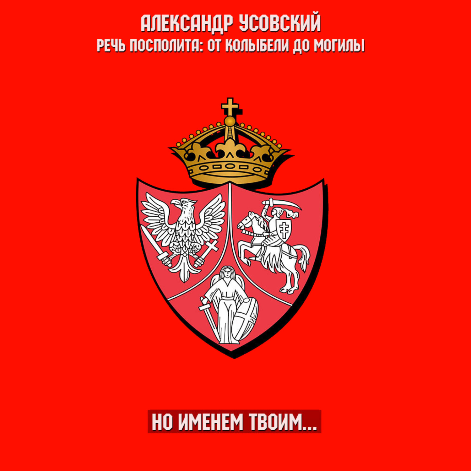 Обложка книги «Но именем твоим…»
