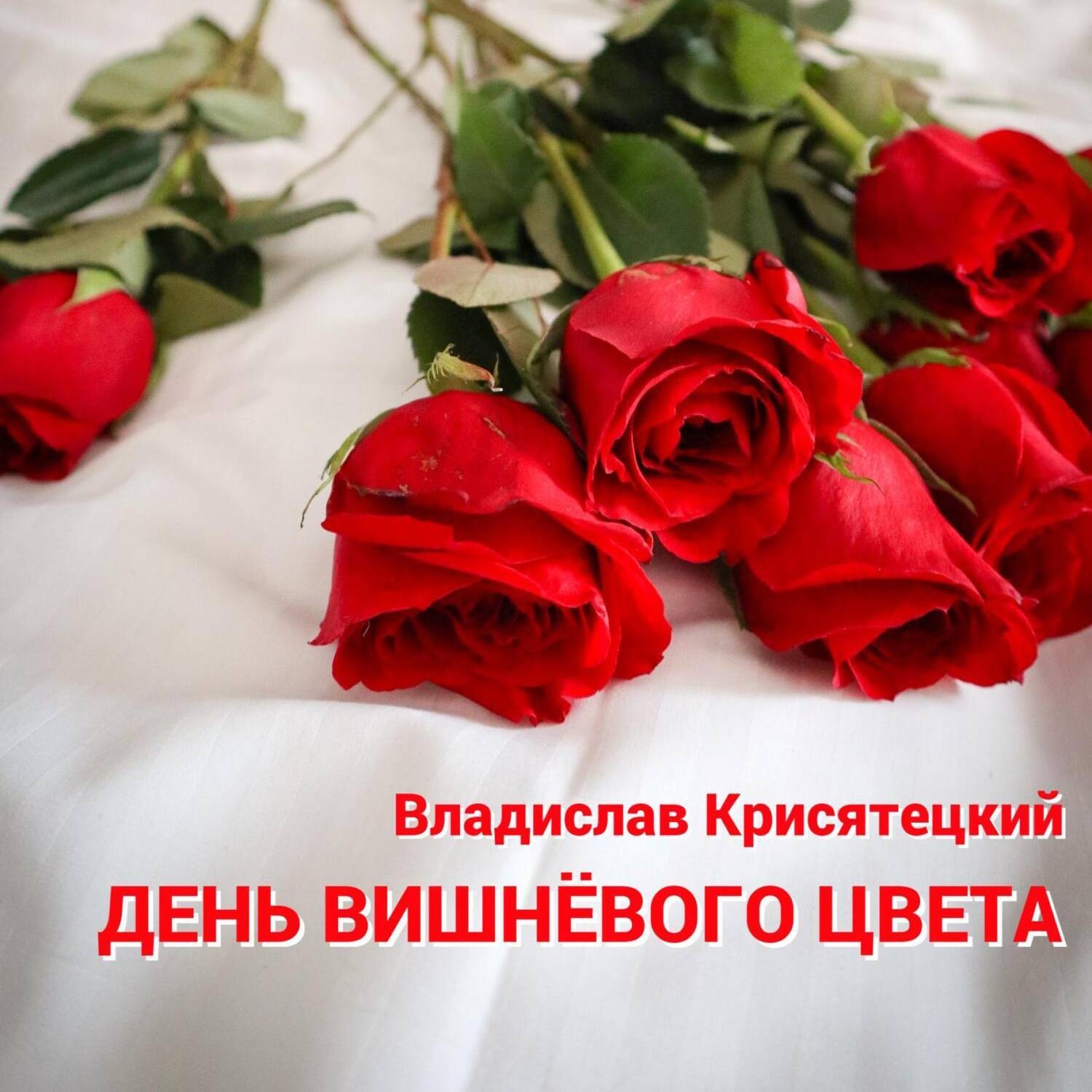 Обложка книги «День вишневого цвета»
