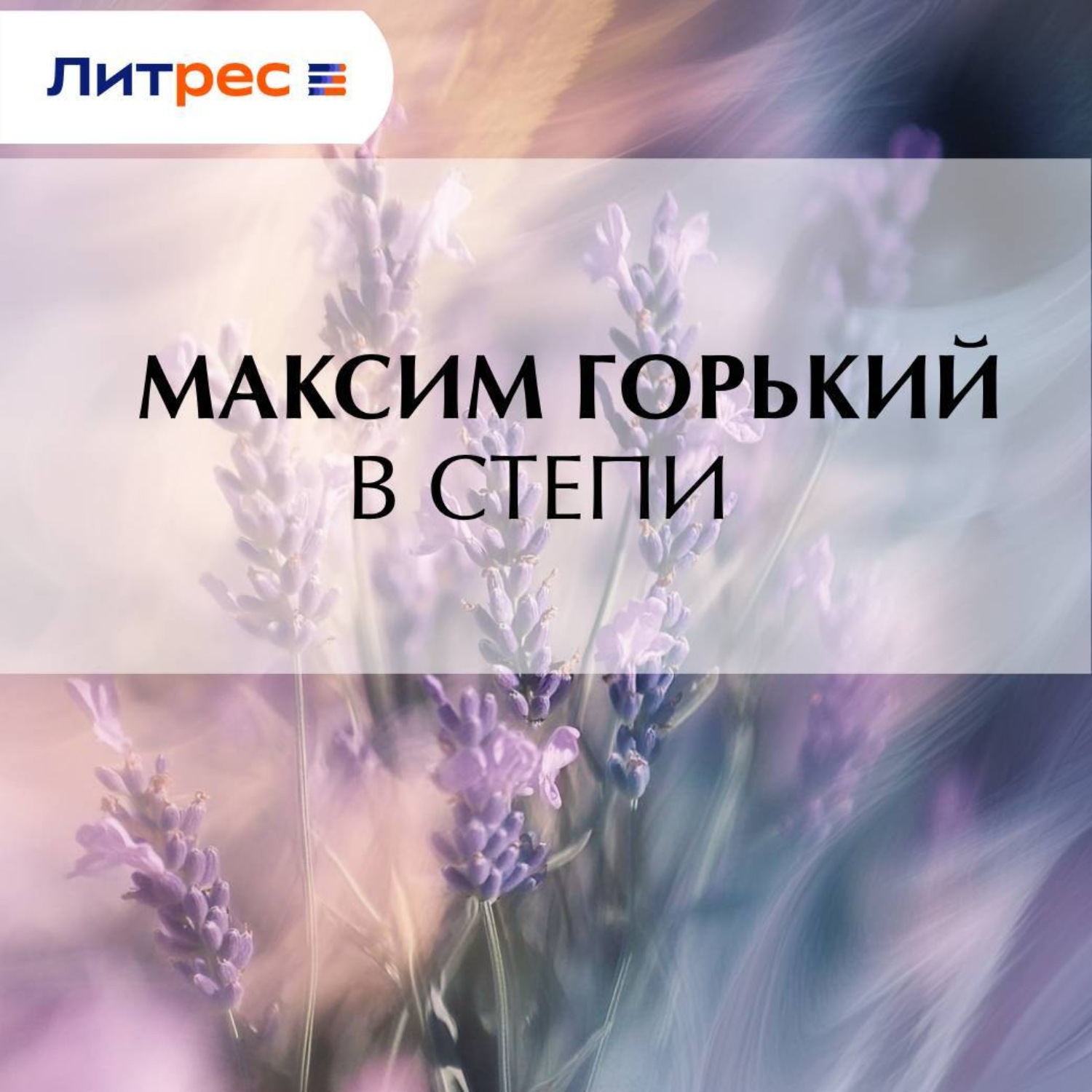 Обложка книги «В степи»