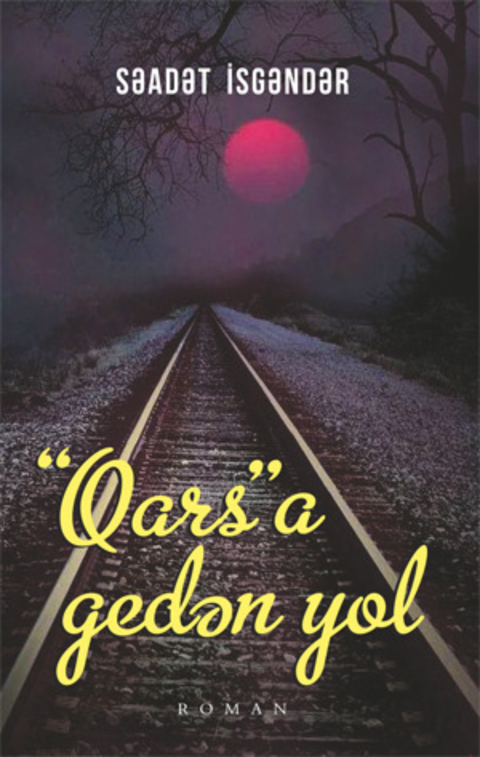 Обложка книги «“Qars”a gedən yol»