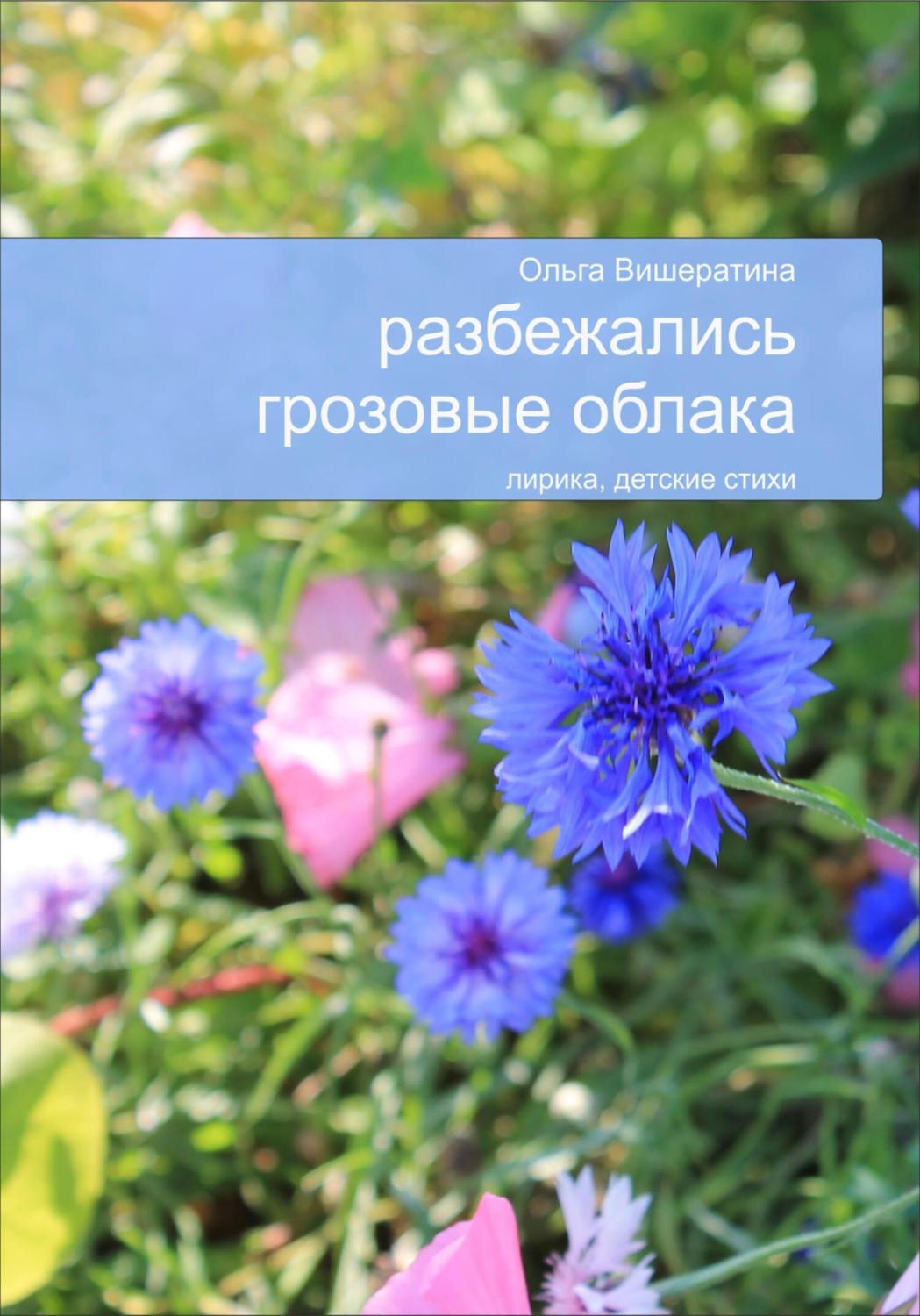 Обложка книги «Разбежались грозовые облака»