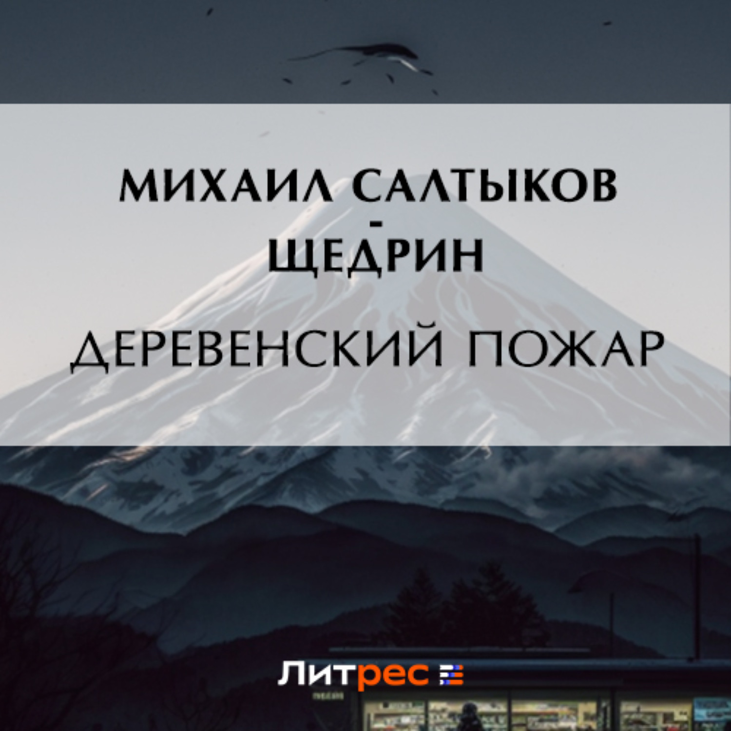 Обложка книги «Деревенский пожар»