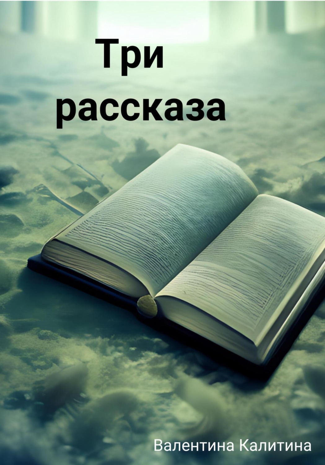 Обложка книги «Три рассказа»