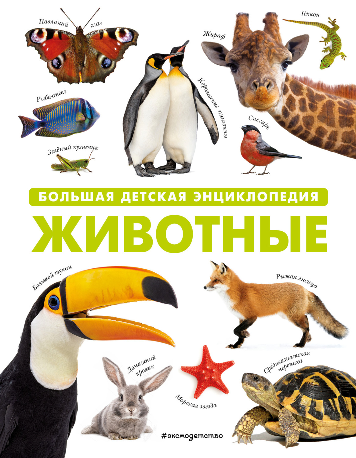 Обложка книги «Животные. Большая детская энциклопедия»