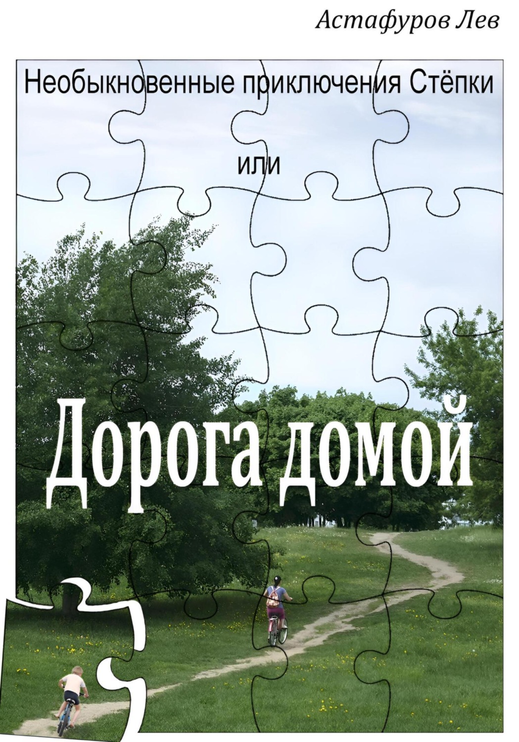 Обложка книги «Необыкновенные приключения Стёпки, или Дорога домой»