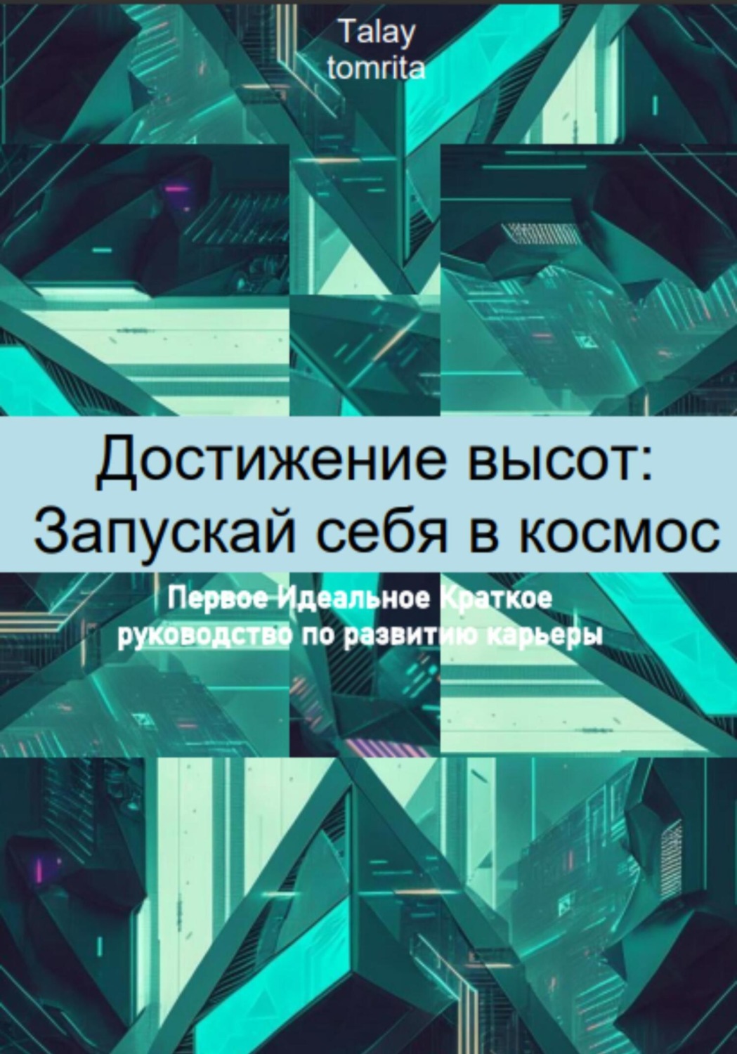 Обложка книги «Достижение высот: Запускай себя в космос»