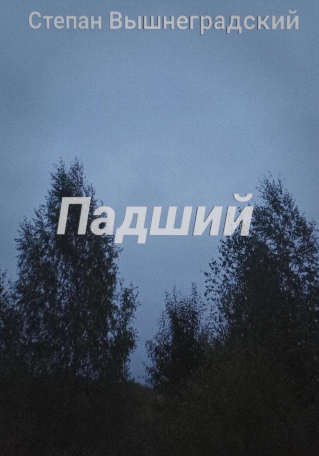 Обложка книги «Падший»