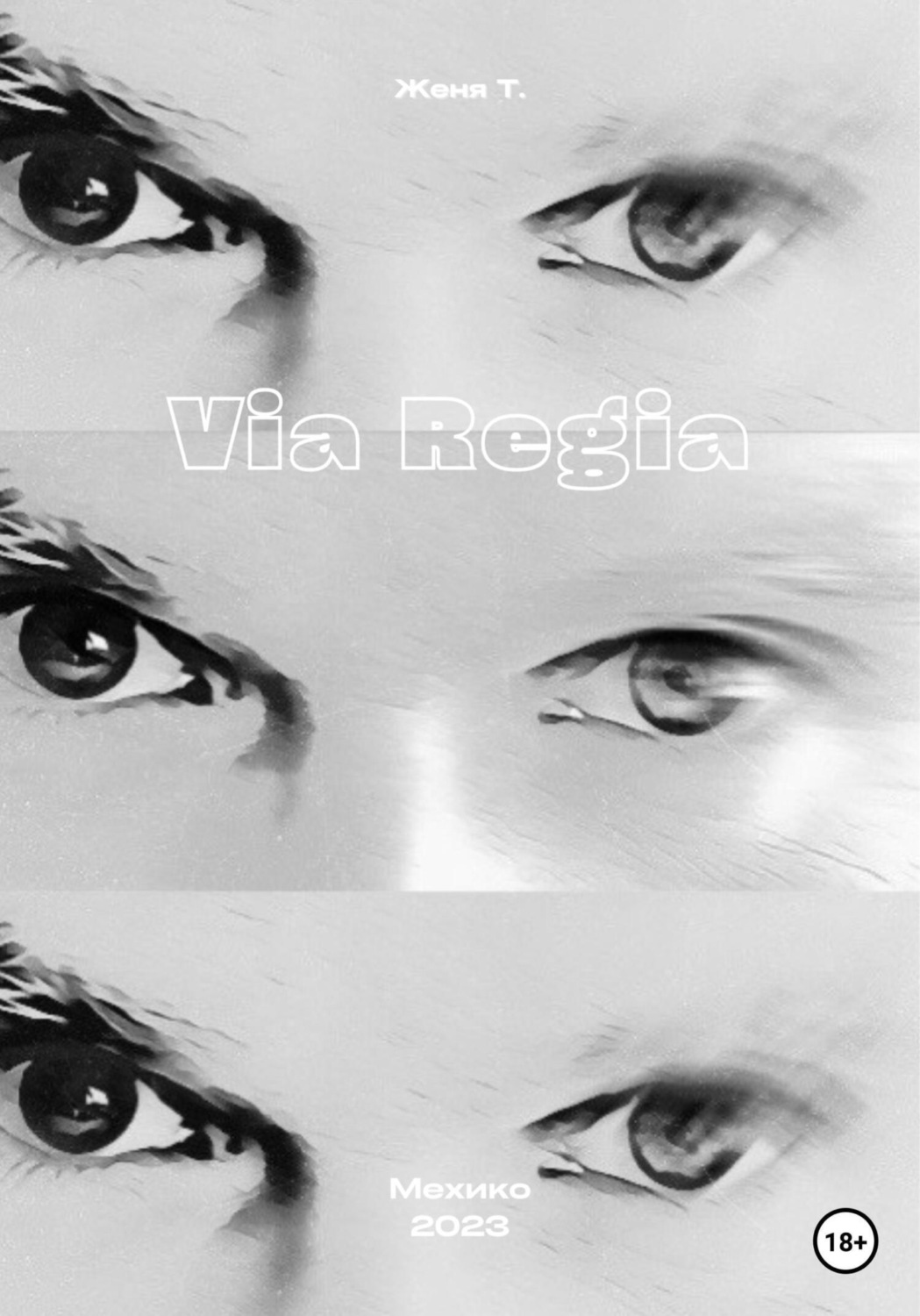 Обложка книги «Via Regia»