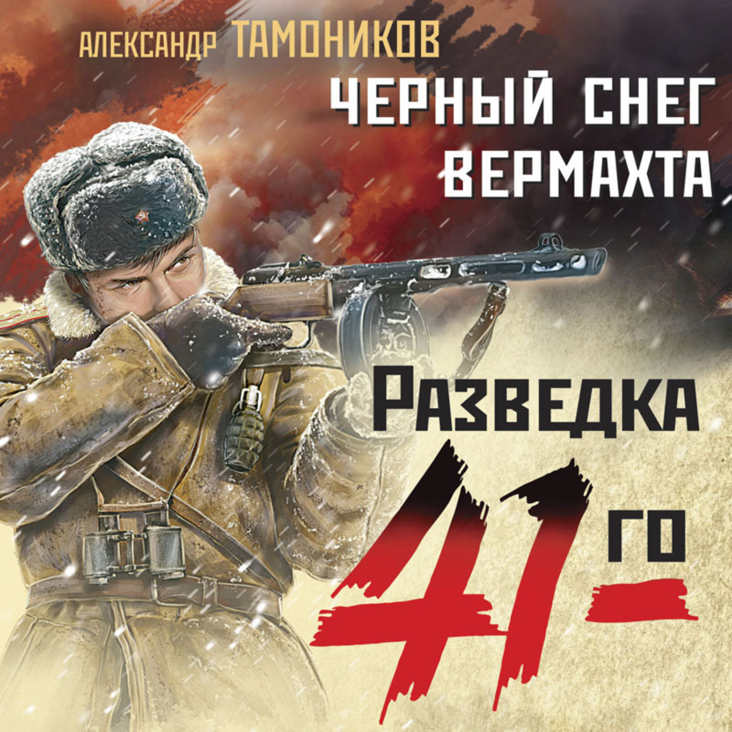 Обложка книги «Черный снег вермахта»