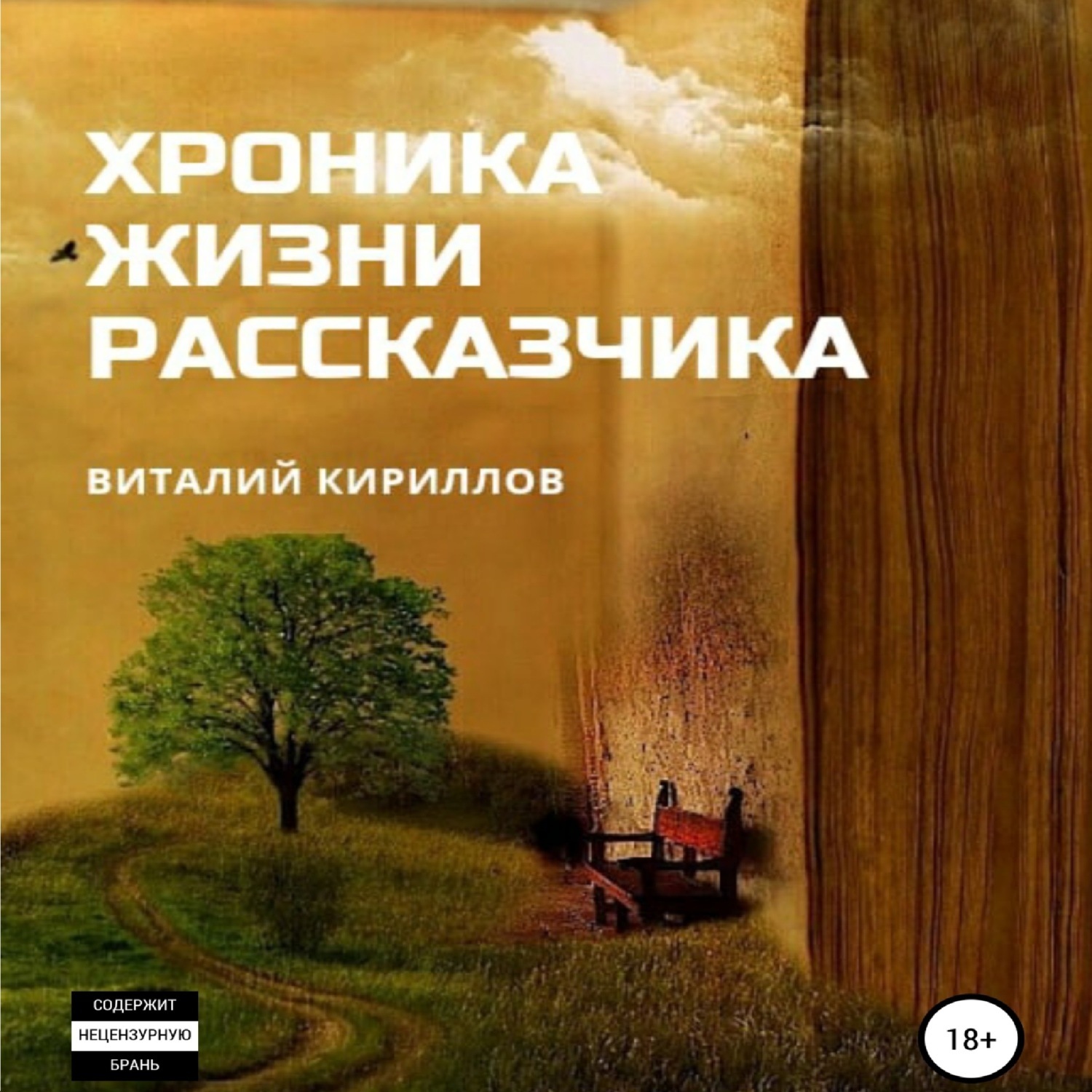 Обложка книги «Хроника жизни рассказчика. Сборник рассказов»