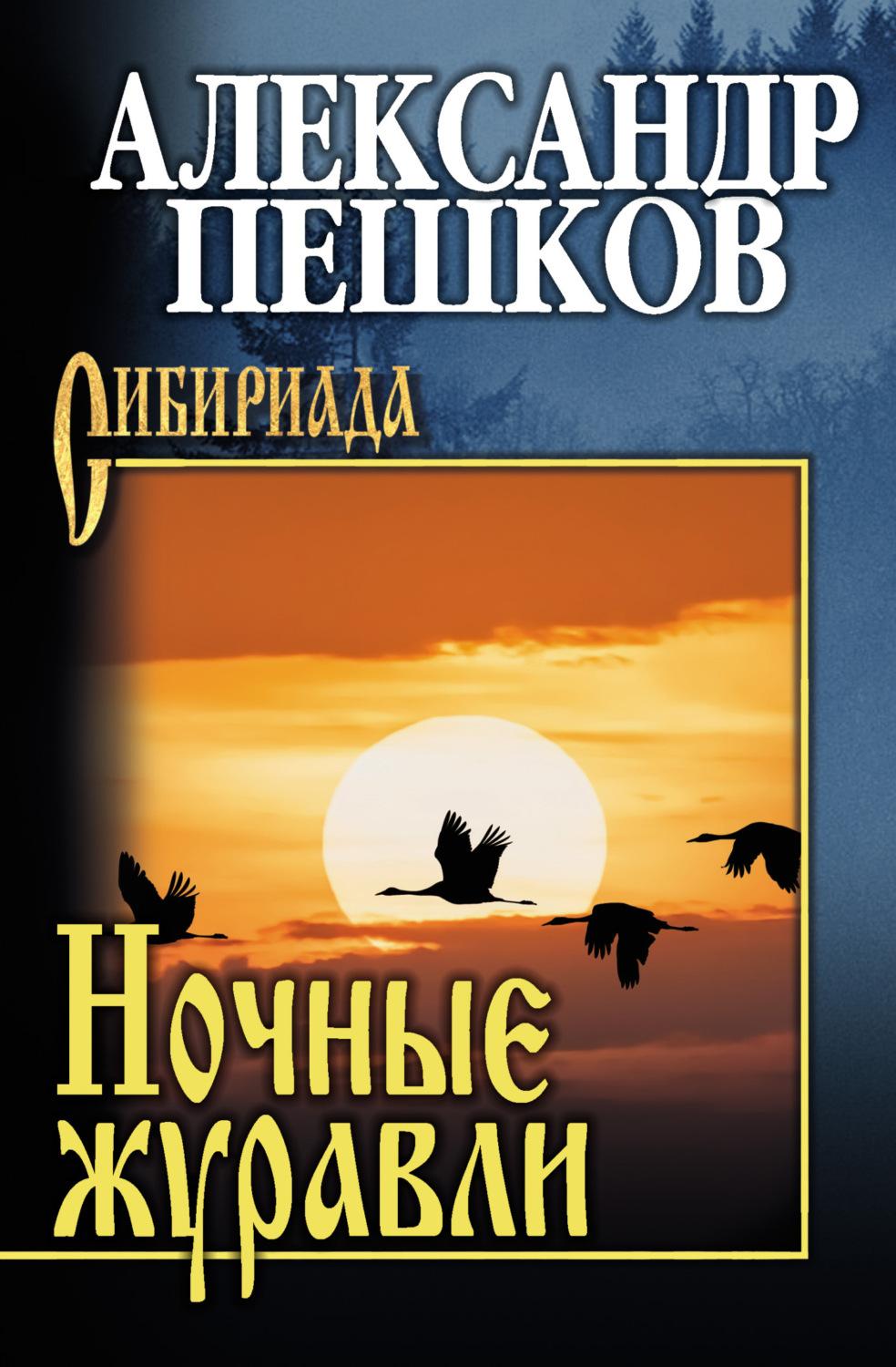 Обложка книги «Ночные журавли»