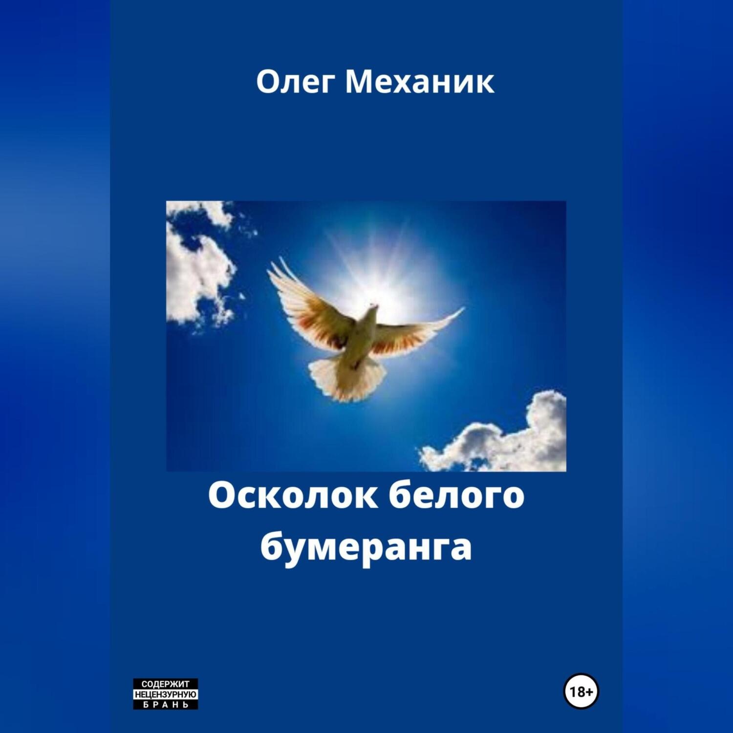 Обложка книги «Осколок белого бумеранга»