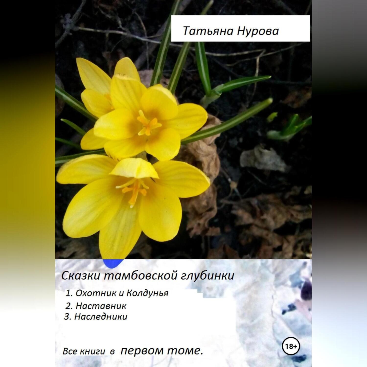 Обложка книги «Сказки тамбовской глубинки. Том первый»
