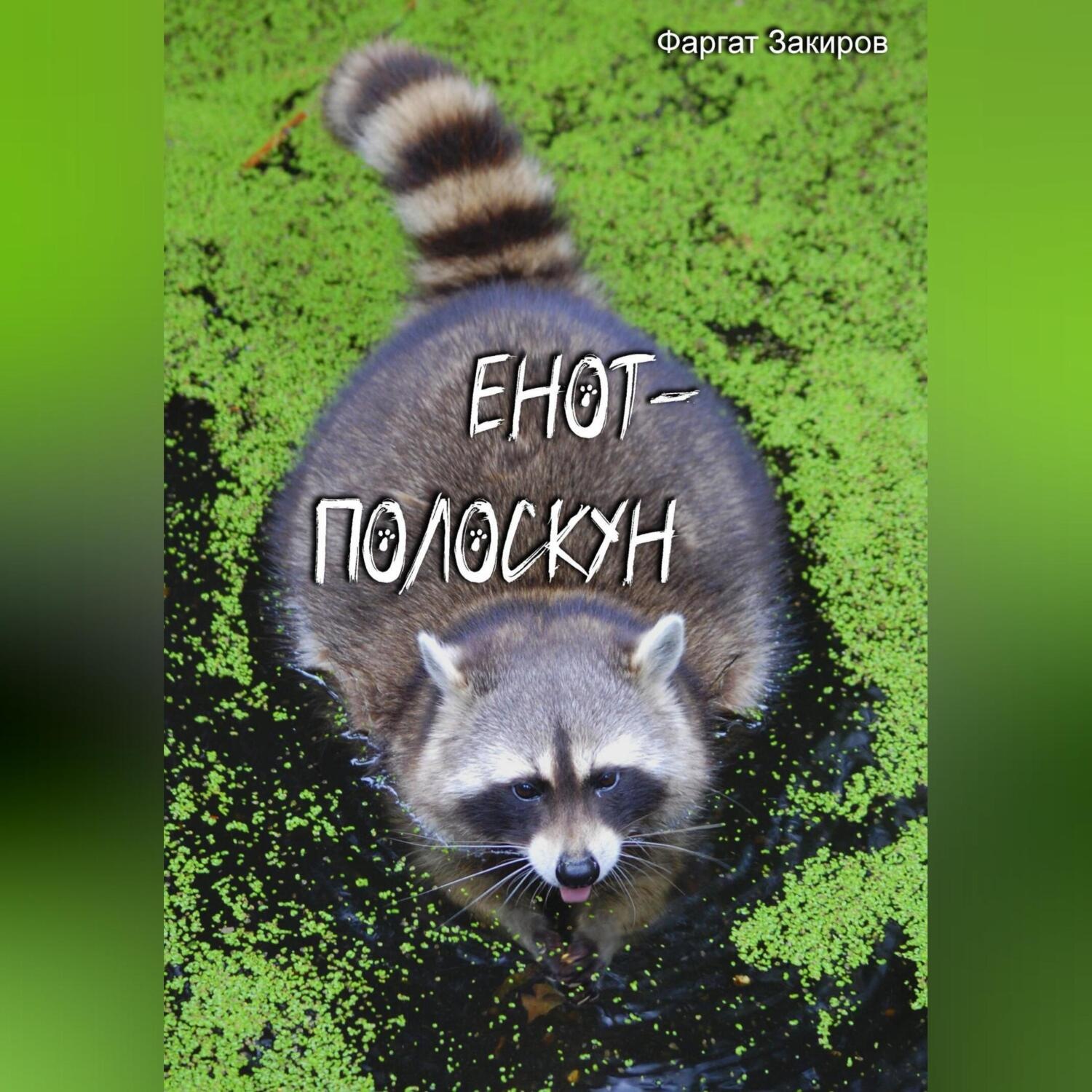 Обложка книги «Енот-полоскун»