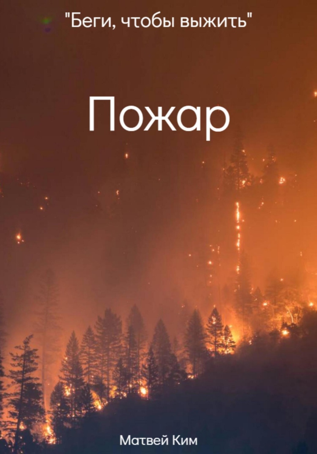 Обложка книги «Пожар»