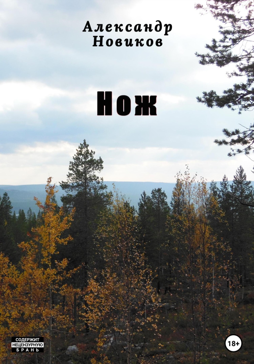 Обложка книги «Нож»