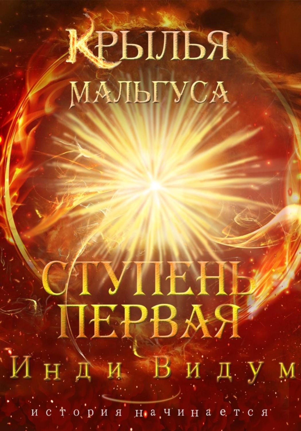 Обложка книги «Крылья Мальгуса. Ступень первая»