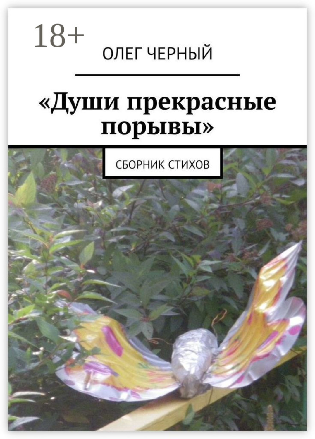 Обложка книги ««Души прекрасные порывы». Сборник стихов»