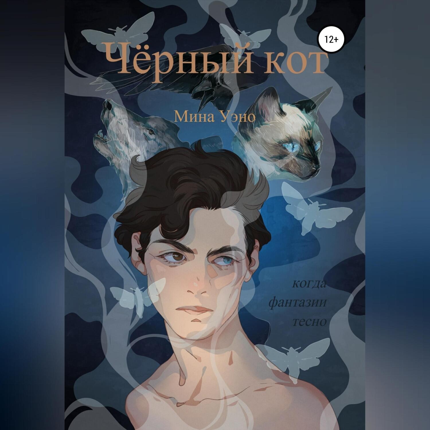 Обложка книги «Чёрный кот»