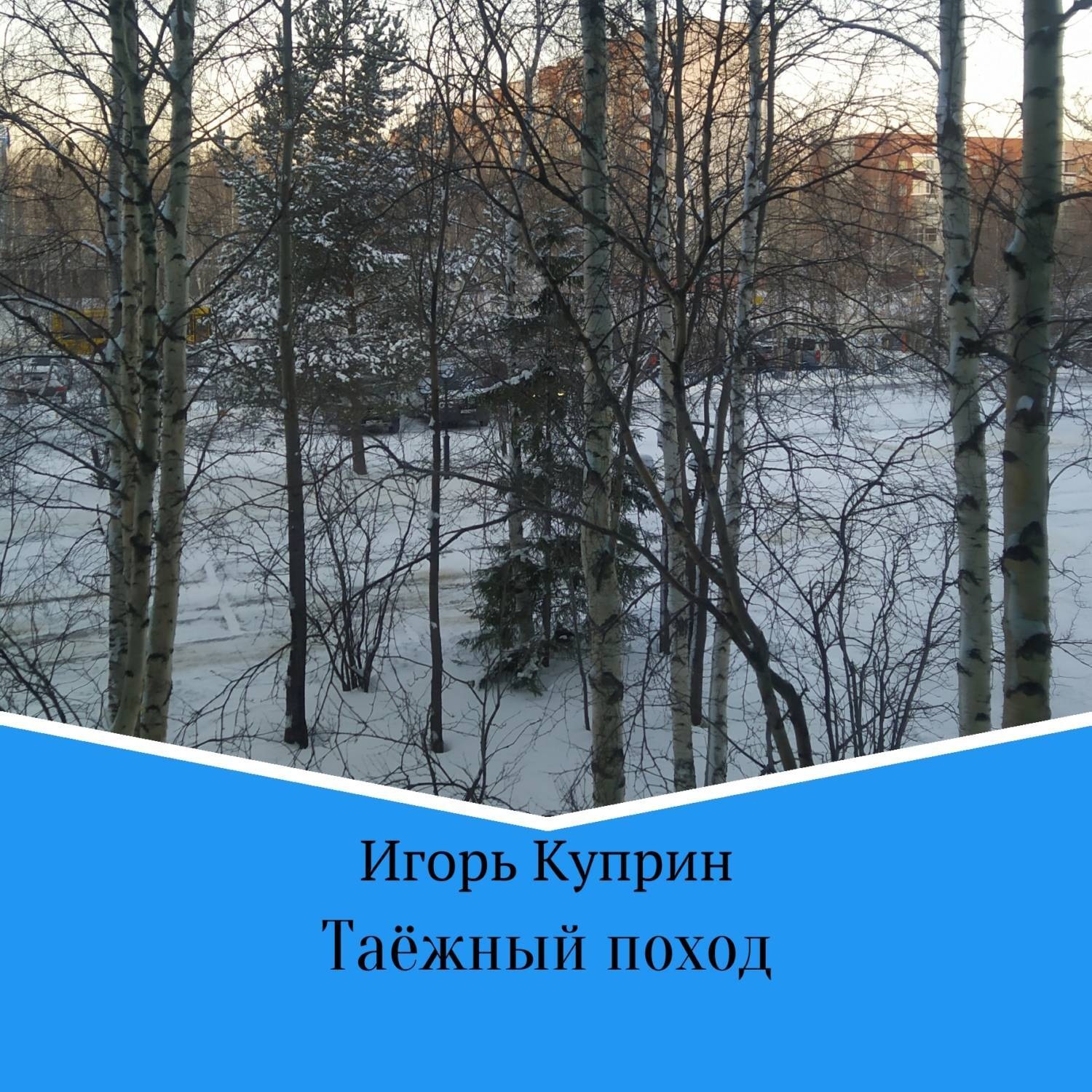 Обложка книги «Таёжный поход»