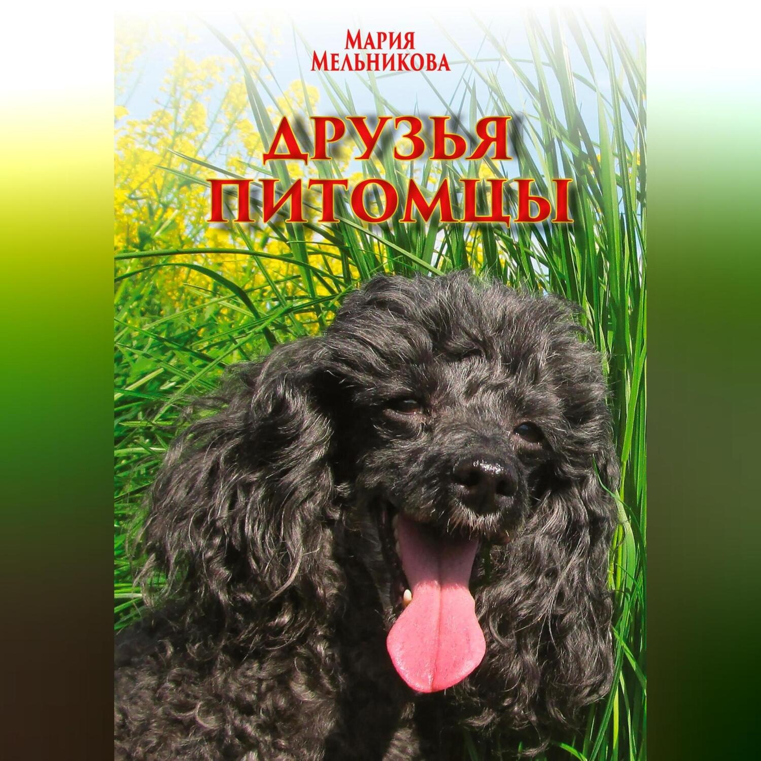 Обложка книги «Друзья-питомцы»