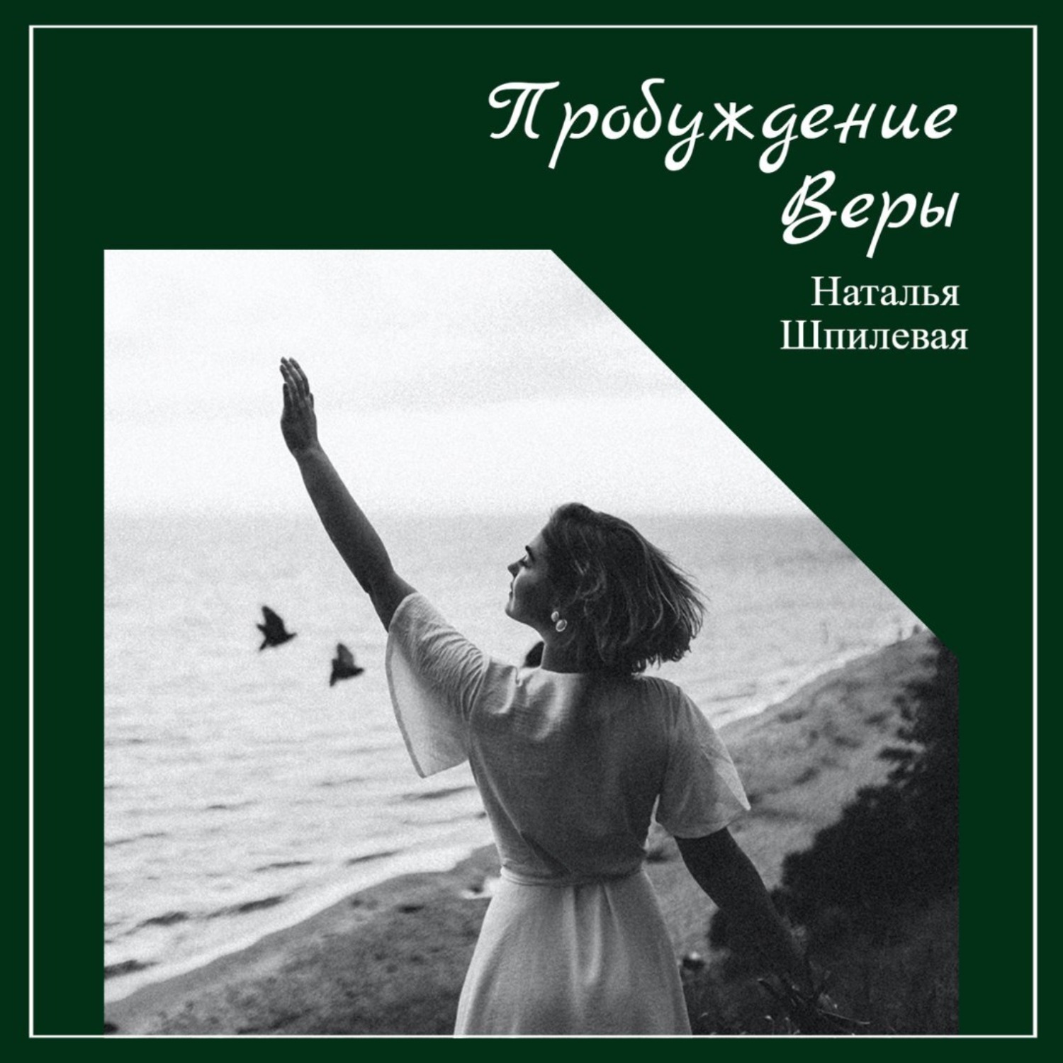 Обложка книги «Пробуждение Веры»