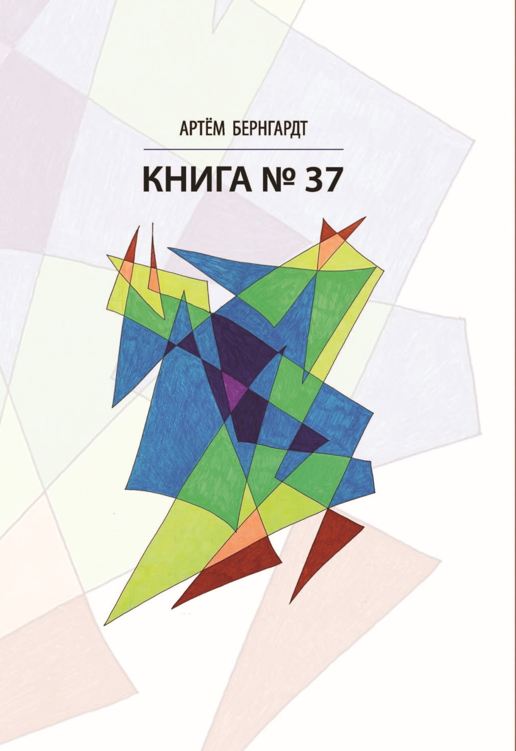 Обложка книги «Книга №37»