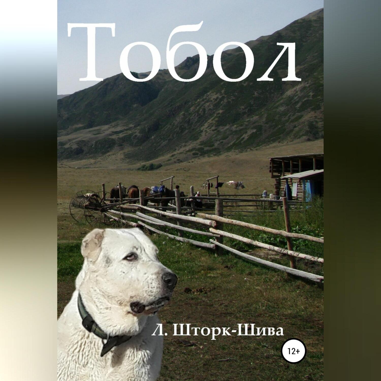 Обложка книги «Тобол»