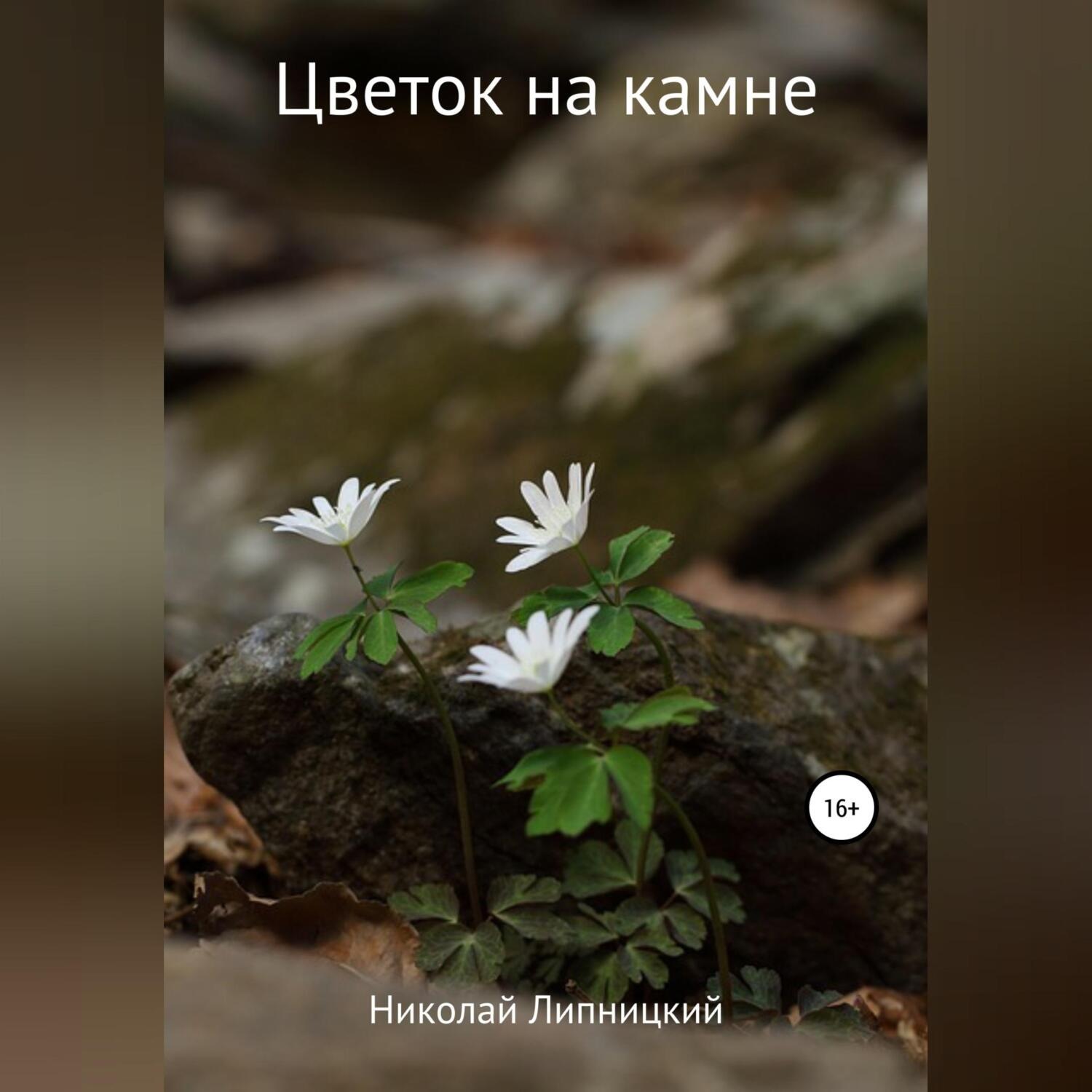 Обложка книги «Цветок на камне»