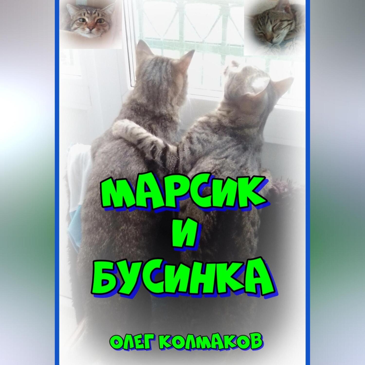 Обложка книги «Марсик и Бусинка»