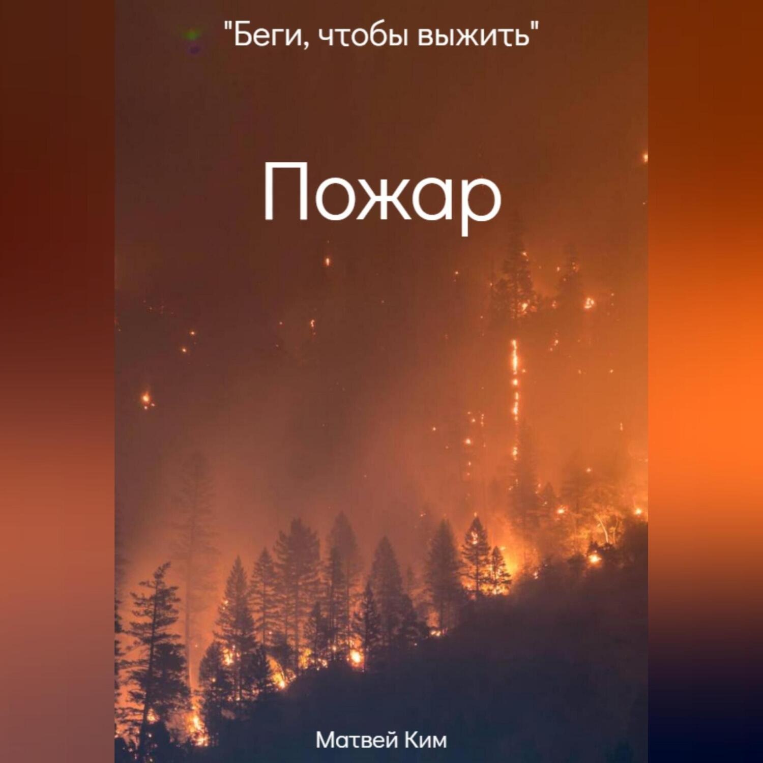 Обложка книги «Пожар»