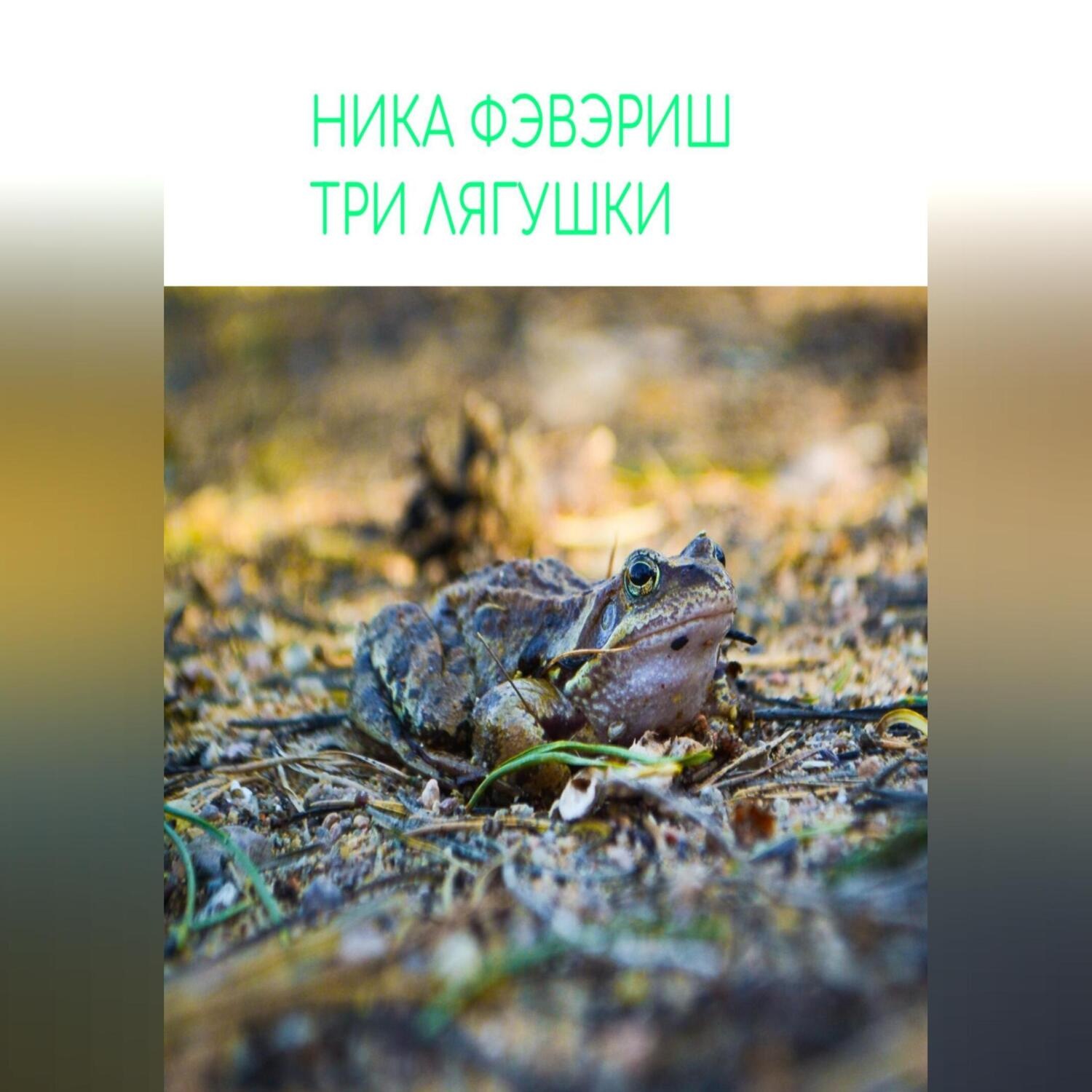 Обложка книги «Три лягушки»