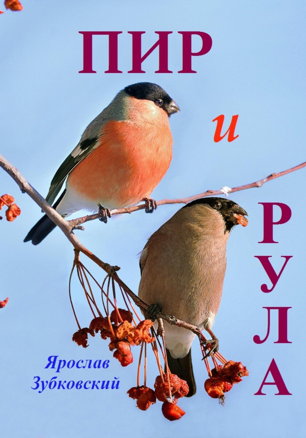 Обложка книги «Пир и Рула»