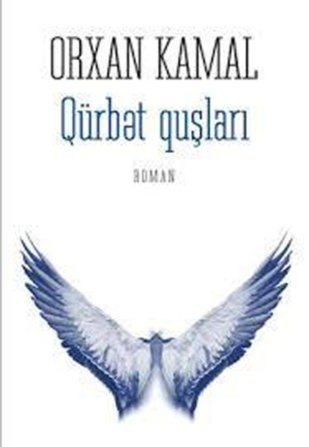 Обложка книги «QÜRBƏT QUŞLARI»